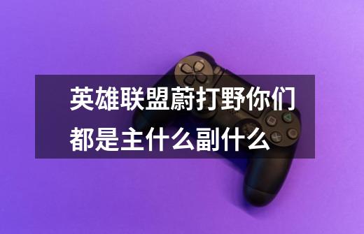 英雄联盟蔚打野你们都是主什么副什么-第1张-游戏信息-龙启网