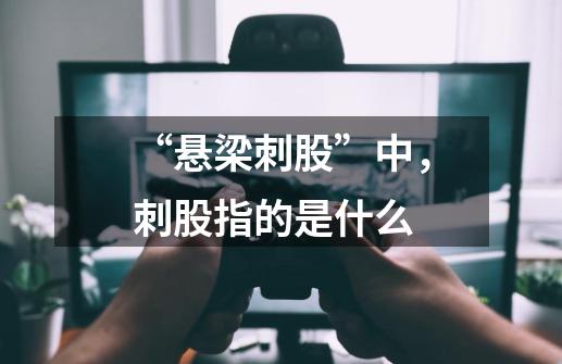 “悬梁刺股”中,刺股指的是什么-第1张-游戏信息-龙启网