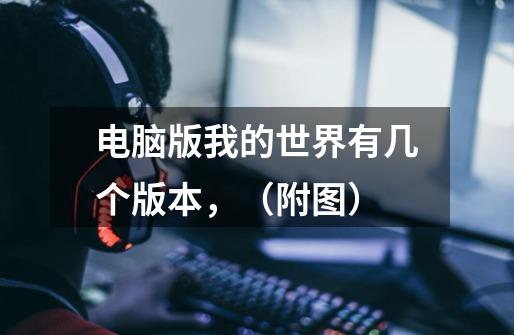 电脑版我的世界有几个版本,(附图)-第1张-游戏信息-龙启网