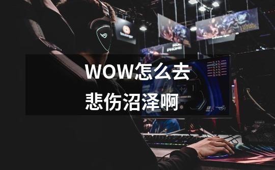 WOW怎么去悲伤沼泽啊-第1张-游戏信息-龙启网