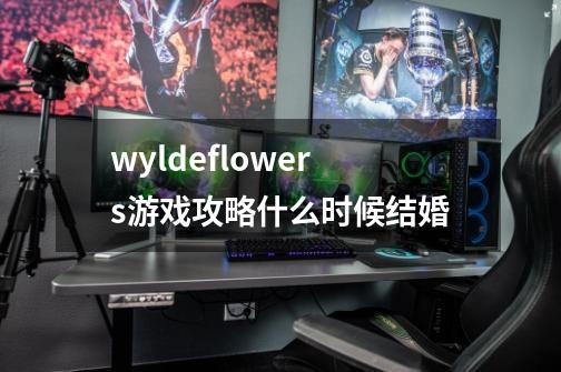 wyldeflowers游戏攻略什么时候结婚-第1张-游戏信息-龙启网