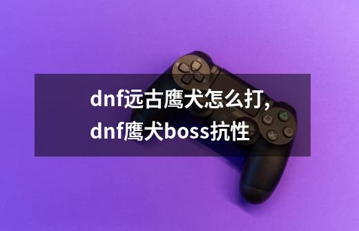 dnf远古鹰犬怎么打,dnf鹰犬boss抗性-第1张-游戏信息-龙启网