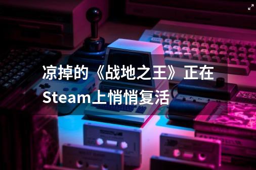 凉掉的《战地之王》正在Steam上悄悄复活-第1张-游戏信息-龙启网