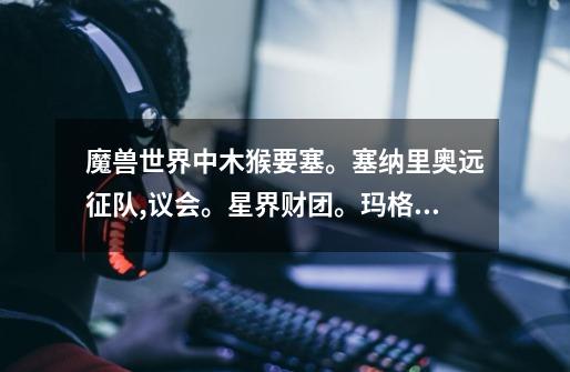 魔兽世界中木猴要塞。塞纳里奥远征队,议会。星界财团。玛格汗。这些声望奖励什么锻造图纸吗-第1张-游戏信息-龙启网