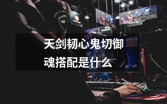 天剑韧心鬼切御魂搭配是什么-第1张-游戏信息-龙启网