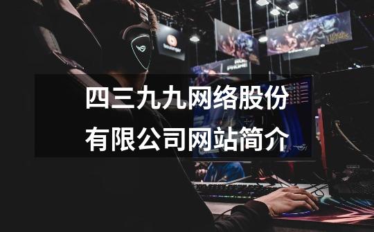 四三九九网络股份有限公司网站简介-第1张-游戏信息-龙启网