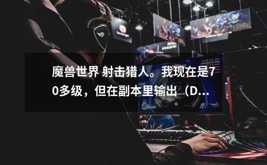 魔兽世界 射击猎人。我现在是70多级,但在副本里输出(DPS)特别低。我很好奇。请各位大哥帮忙解决下。-第1张-游戏信息-龙启网