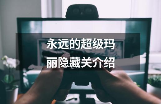 永远的超级玛丽隐藏关介绍-第1张-游戏信息-龙启网