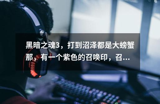 黑暗之魂3,打到沼泽都是大螃蟹那,有一个紫色的召唤印,召唤后出现一个敌对npc,我27体力1000-第1张-游戏信息-龙启网