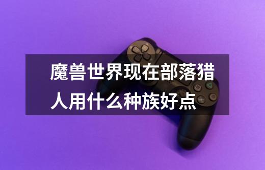 魔兽世界现在部落猎人用什么种族好点-第1张-游戏信息-龙启网