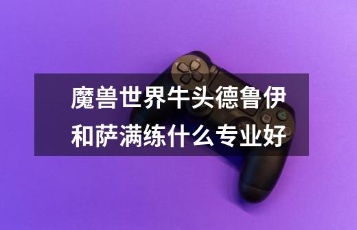魔兽世界牛头德鲁伊和萨满练什么专业好-第1张-游戏信息-龙启网