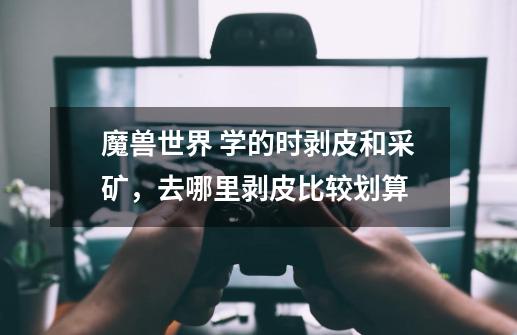 魔兽世界 学的时剥皮和采矿,去哪里剥皮比较划算-第1张-游戏信息-龙启网