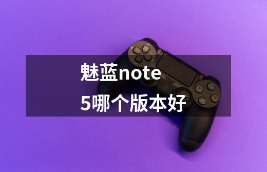魅蓝note5哪个版本好-第1张-游戏信息-龙启网