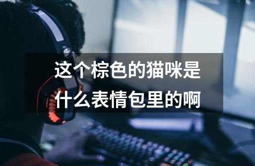 这个棕色的猫咪是什么表情包里的啊-第1张-游戏信息-龙启网