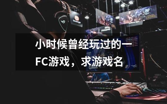 小时候曾经玩过的一FC游戏，求游戏名-第1张-游戏信息-龙启网