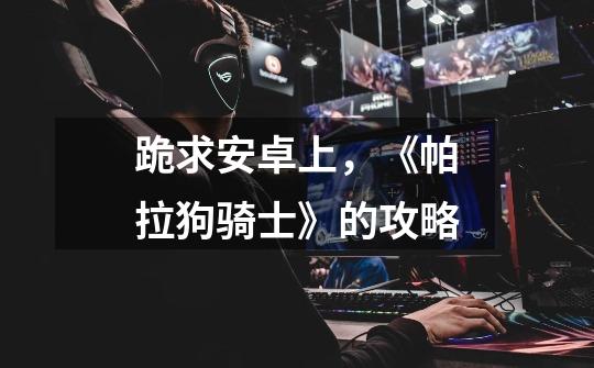 跪求安卓上,《帕拉狗骑士》的攻略-第1张-游戏信息-龙启网