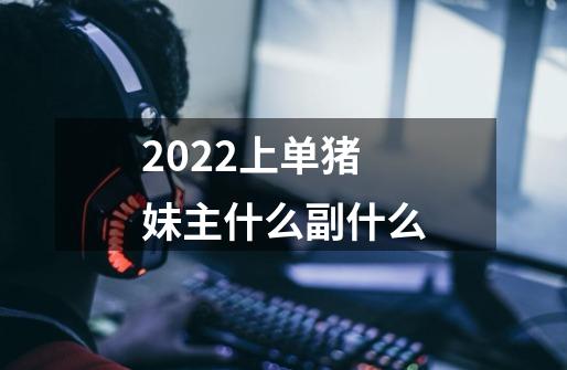 2022上单猪妹主什么副什么-第1张-游戏信息-龙启网