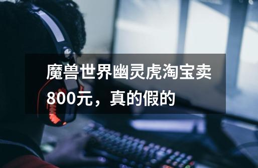 魔兽世界幽灵虎淘宝卖800元，真的假的-第1张-游戏信息-龙启网