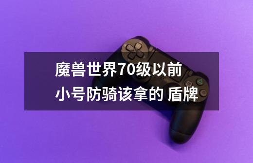 魔兽世界70级以前 小号防骑该拿的 盾牌-第1张-游戏信息-龙启网
