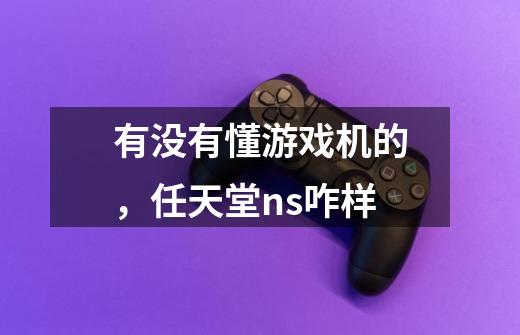 有没有懂游戏机的,任天堂ns咋样-第1张-游戏信息-龙启网