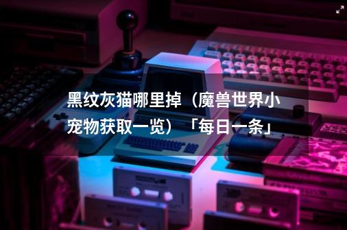 黑纹灰猫哪里掉(魔兽世界小宠物获取一览)「每日一条」-第1张-游戏信息-龙启网
