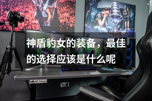 神盾豹女的装备,最佳的选择应该是什么呢-第1张-游戏信息-龙启网