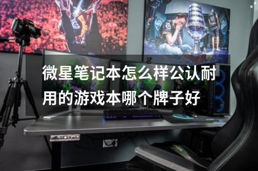 微星笔记本怎么样公认耐用的游戏本哪个牌子好-第1张-游戏信息-龙启网