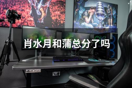肖水月和蒲总分了吗-第1张-游戏信息-龙启网