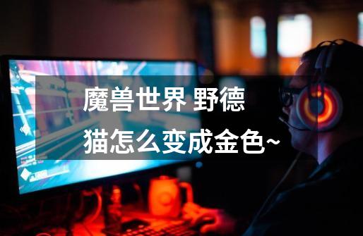 魔兽世界 野德 猫怎么变成金色~-第1张-游戏信息-龙启网