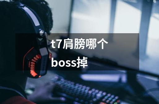 t7肩膀哪个boss掉-第1张-游戏信息-龙启网