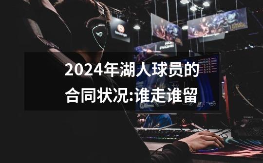 2024年湖人球员的合同状况:谁走谁留-第1张-游戏信息-龙启网