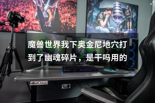 魔兽世界我下奥金尼地穴打到了幽魂碎片,是干吗用的-第1张-游戏信息-龙启网