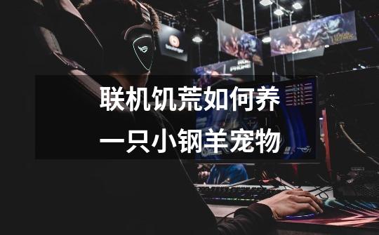 联机饥荒如何养一只小钢羊宠物-第1张-游戏信息-龙启网