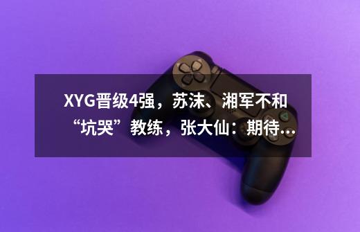 XYG晋级4强,苏沫、湘军不和“坑哭”教练,张大仙:期待更好成绩-第1张-游戏信息-龙启网