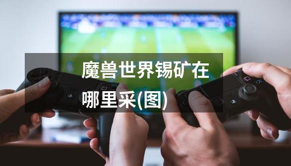 魔兽世界锡矿在哪里采(图)-第1张-游戏信息-龙启网
