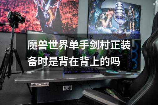 魔兽世界单手剑村正装备时是背在背上的吗-第1张-游戏信息-龙启网