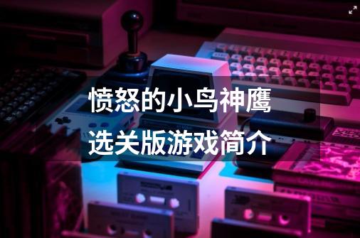 愤怒的小鸟神鹰选关版游戏简介-第1张-游戏信息-龙启网