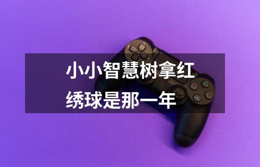 小小智慧树拿红绣球是那一年-第1张-游戏信息-龙启网