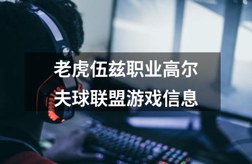 老虎伍兹职业高尔夫球联盟游戏信息-第1张-游戏信息-龙启网