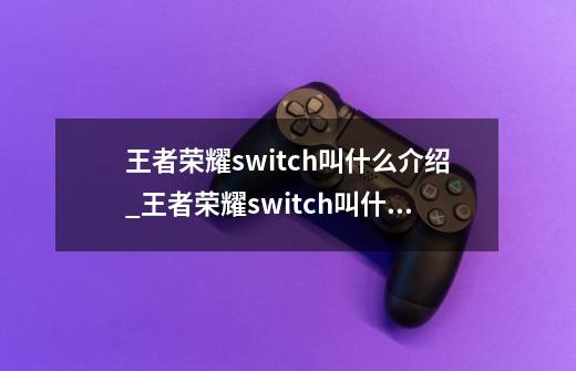 王者荣耀switch叫什么介绍_王者荣耀switch叫什么是什么-第1张-游戏信息-龙启网