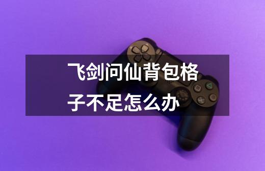 飞剑问仙背包格子不足怎么办-第1张-游戏信息-龙启网