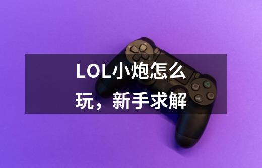 LOL小炮怎么玩,新手求解-第1张-游戏信息-龙启网