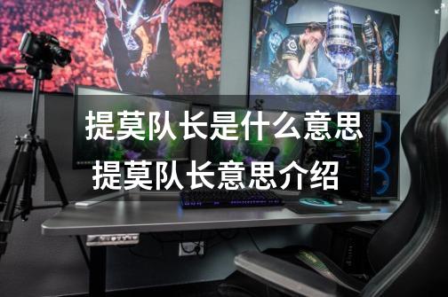提莫队长是什么意思 提莫队长意思介绍-第1张-游戏信息-龙启网