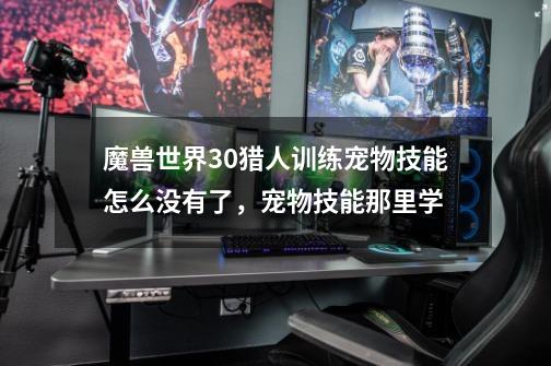 魔兽世界3.0猎人训练宠物技能怎么没有了，宠物技能那里学-第1张-游戏信息-龙启网
