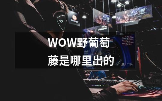 WOW野葡萄藤是哪里出的-第1张-游戏信息-龙启网