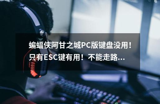 蝙蝠侠阿甘之城PC版键盘没用！只有ESC键有用！不能走路不能打人！跪求解决方法！-第1张-游戏信息-龙启网