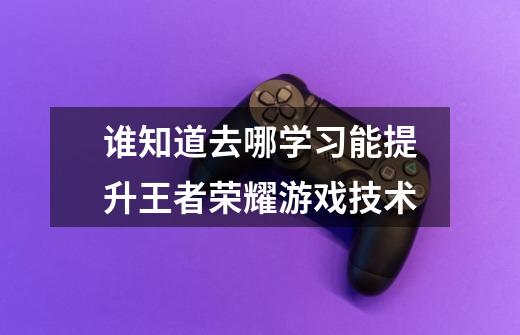 谁知道去哪学习能提升王者荣耀游戏技术-第1张-游戏信息-龙启网