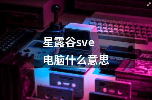 星露谷sve电脑什么意思-第1张-游戏信息-龙启网