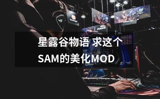 星露谷物语 求这个SAM的美化MOD-第1张-游戏信息-龙启网