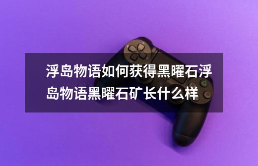 浮岛物语如何获得黑曜石浮岛物语黑曜石矿长什么样-第1张-游戏信息-龙启网